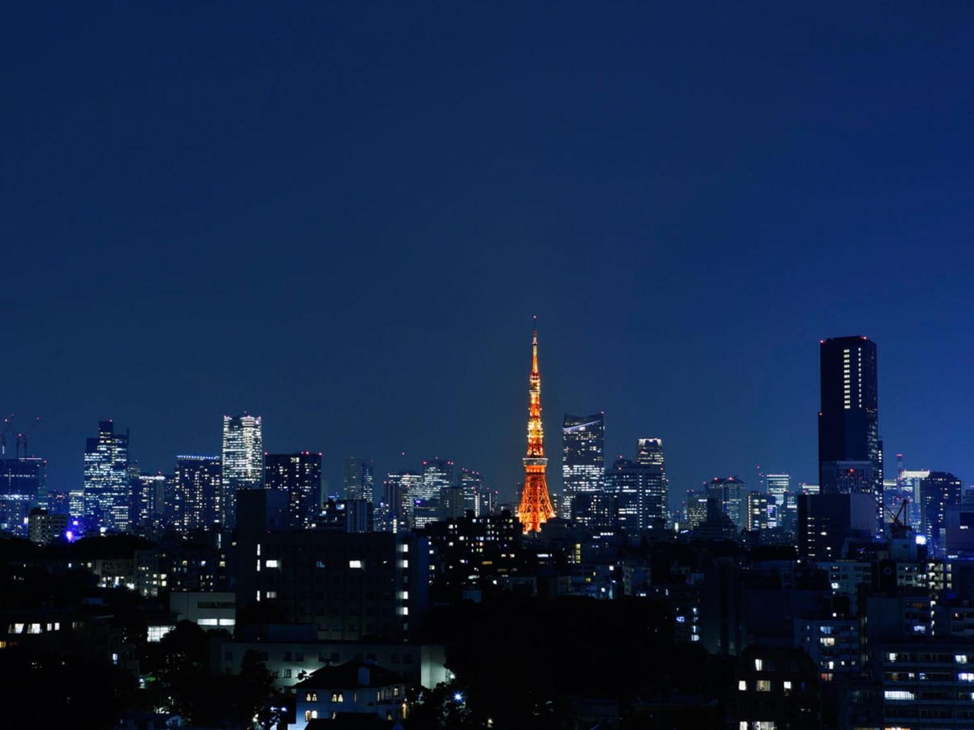 Grand Prince Hotel Takanawa Prefektura Tokio Pokoj fotografie